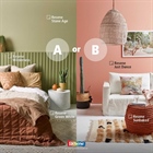 Inspiration and colour with Resene