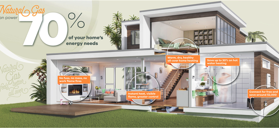 Find out about natural gas for the future at Home & Interiors