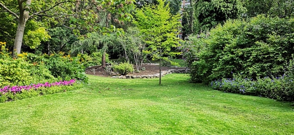Tree Maintenance for your Garden