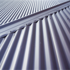 Paul Milne - Roofs, leaks, repair and paint!