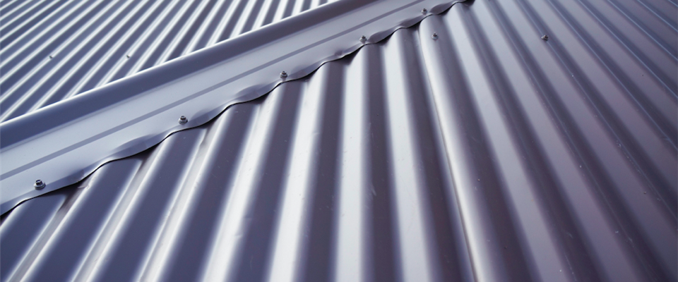 Paul Milne - Roofs, leaks, repair and paint!