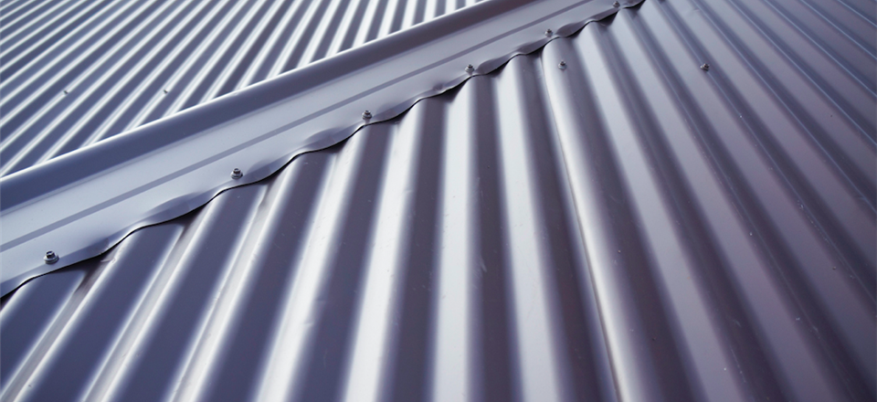 Paul Milne - Roofs, leaks, repair and paint!